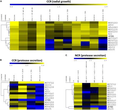 Nutritional Heterogeneity Among Aspergillus fumigatus Strains Has Consequences for Virulence in a Strain- and Host-Dependent Manner